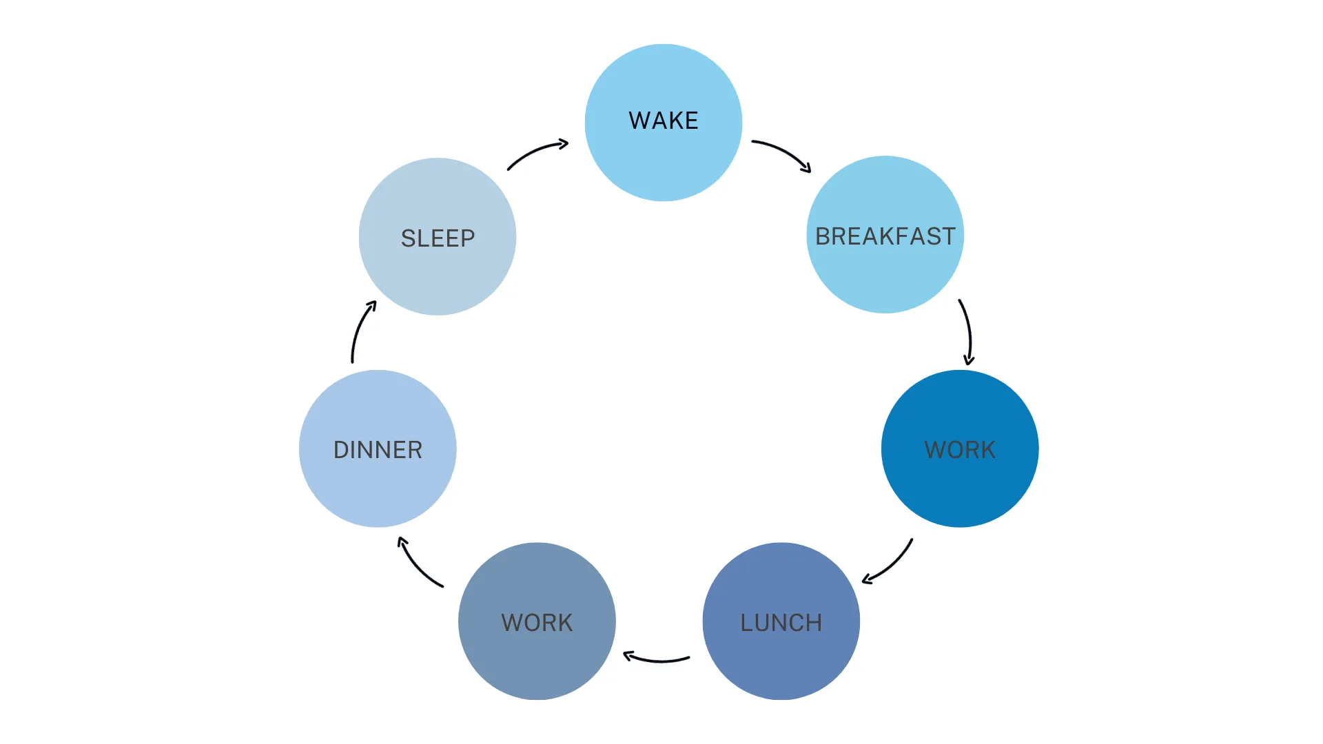 Figure 1 - Circular patterns in life